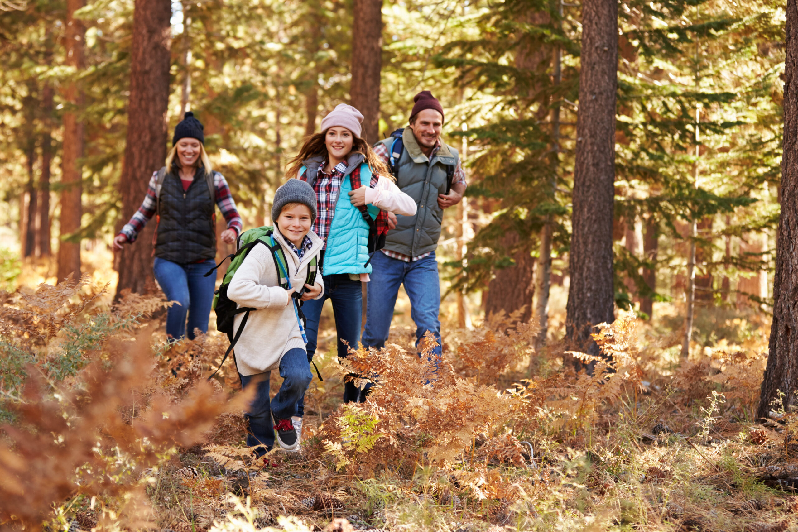 A happy young couple and their daughter and son take a hike through a forest.