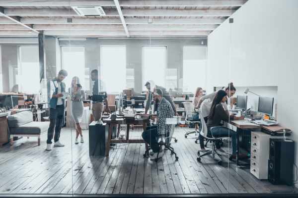 A large group of young employees work at their desks in a bright and modern office.